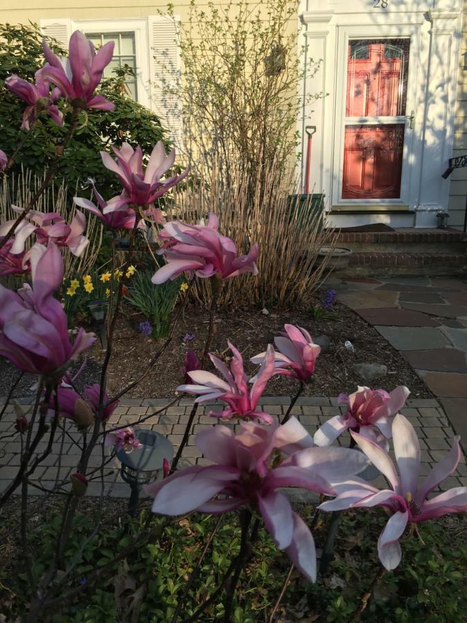 Wellesley Bed And Breakfast Exterior photo